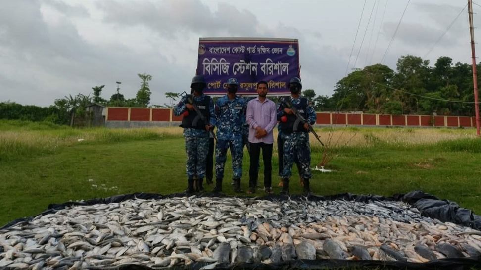 বরিশালে ট্রলারসহ ৬০০ কেজি অবৈধ মাছ জব্দ
